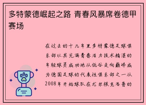 多特蒙德崛起之路 青春风暴席卷德甲赛场