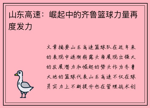 山东高速：崛起中的齐鲁篮球力量再度发力